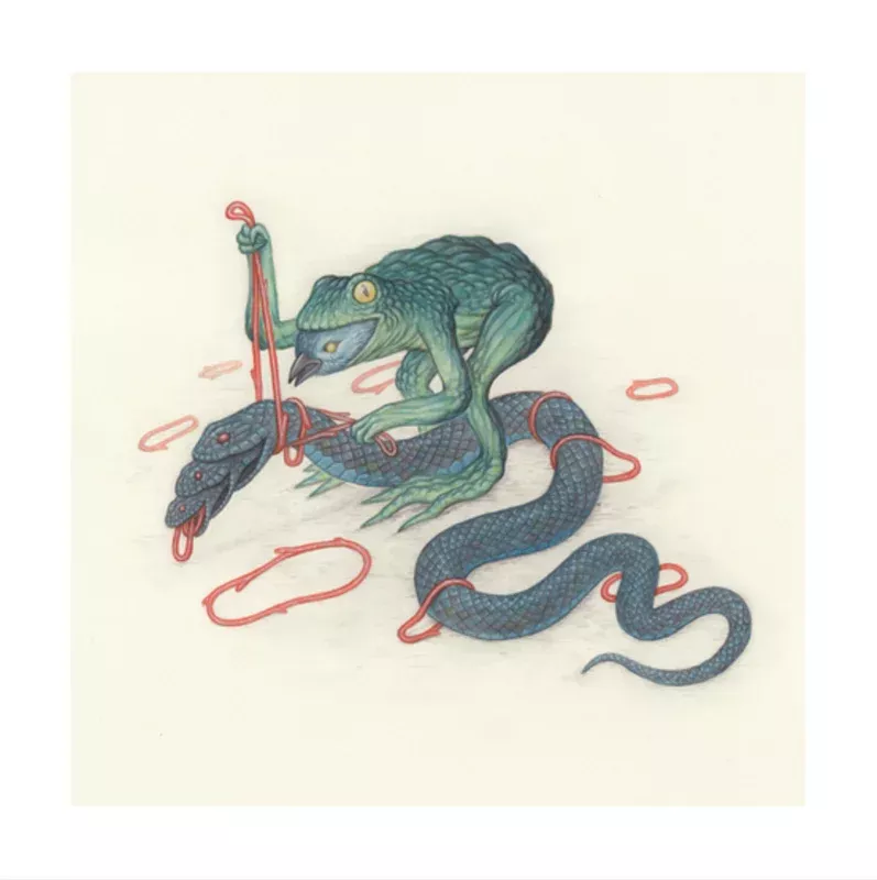 frog-bird-snake "Frog Bird Snake"